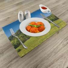 Bavarian Alps Village Place Mats