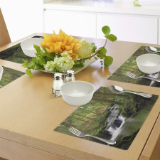 Forest over Mossy Rocks Place Mats