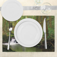 Forest over Mossy Rocks Place Mats