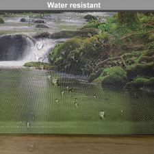 Forest over Mossy Rocks Place Mats