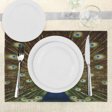 Peacock with Feathers Place Mats