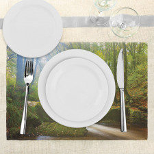 Forest at Golitha Falls Place Mats