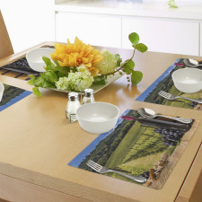 Vineyard Tuscany Grape Place Mats