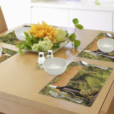 Bottle Grapes Sunset Place Mats