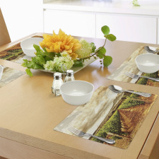 Cloudy Vineyard in Fall Place Mats