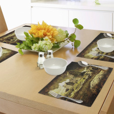 Old Scottish Castle Place Mats