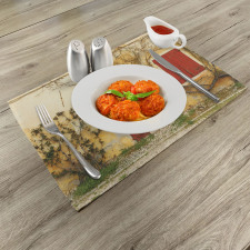 Aged Doors Tuscan House Place Mats