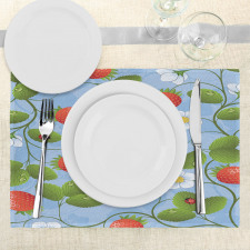 Strawberry Daisy Retro Place Mats