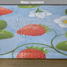 Strawberry Daisy Retro Place Mats