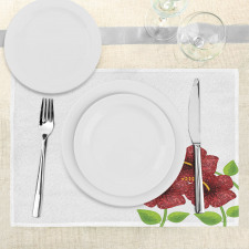 Flower Gardenrt Place Mats