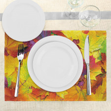 Colorful Maple Leaves Place Mats