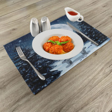 Moonlight Forest Bird Place Mats