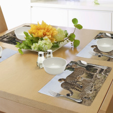 Safari Animal Cheetahs Place Mats