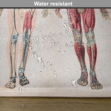 Anatomy Human Body Place Mats