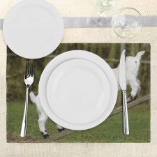 Farm Life with Goats Place Mats