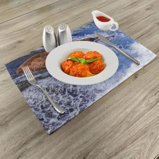 Grizzly Bear at Katmai Place Mats