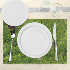 Cat and Butterfly Place Mats