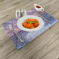 Braches Snowy Sunset Place Mats