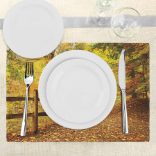 Fall Trees Leaf Road Place Mats