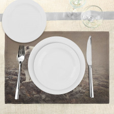 White Wolf on the Rocks Place Mats