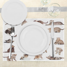 Funny Playful Cats Image Place Mats