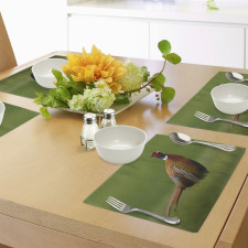 Pheasant Long Tail Meadow Place Mats