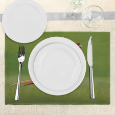 Pheasant Long Tail Meadow Place Mats