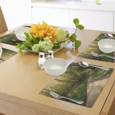 Footpath Green Park Place Mats