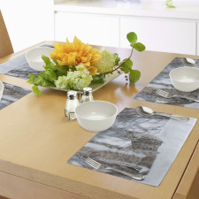 European Lynx Wilderness Place Mats