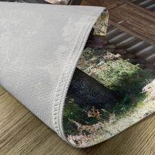 Cottage Spring Woods Place Mats