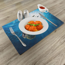 Sea Turtle Diving Place Mats