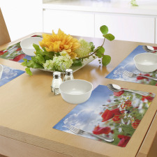 Spring Meadow Place Mats