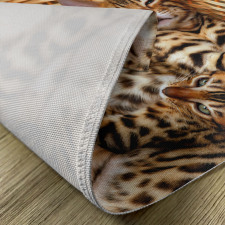 Bengal Cats in Basket Place Mats