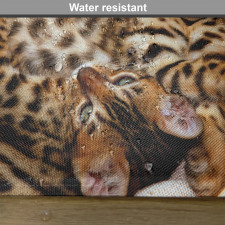 Bengal Cats in Basket Place Mats