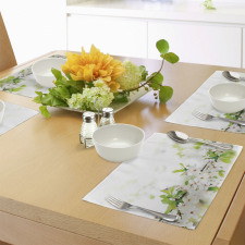 White Spring Blossoms Place Mats