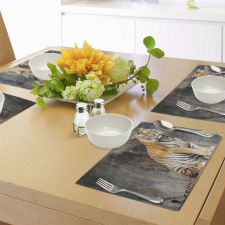 Bengal Tiger Cat Predator Place Mats