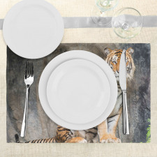 Bengal Tiger Cat Predator Place Mats