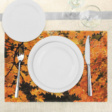 Vivid Autumn Maple Leaves Place Mats