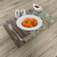 Star on Wood Place Mats