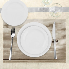 Fighter Plane Place Mats