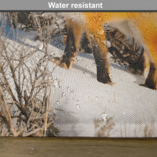 Red Fox in Snowy Nature Place Mats