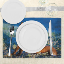 Serene Cold Autumn Field Place Mats