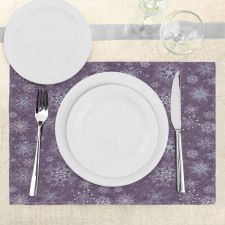 Xmas Snowflakes Floral Place Mats