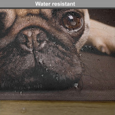 Puppy Photograph Animals Place Mats