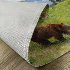 Fur Animal Nature Habitat Place Mats