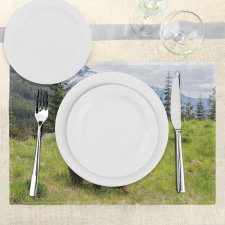 Fur Animal Nature Habitat Place Mats