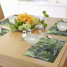 Park in South China Place Mats