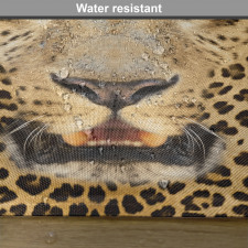 Predator Animal Place Mats