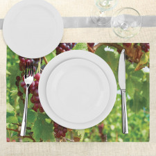 Bunch of Wine Fruits Foliage Place Mats