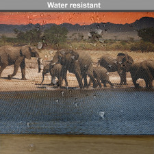 Safari Wildlife Place Mats